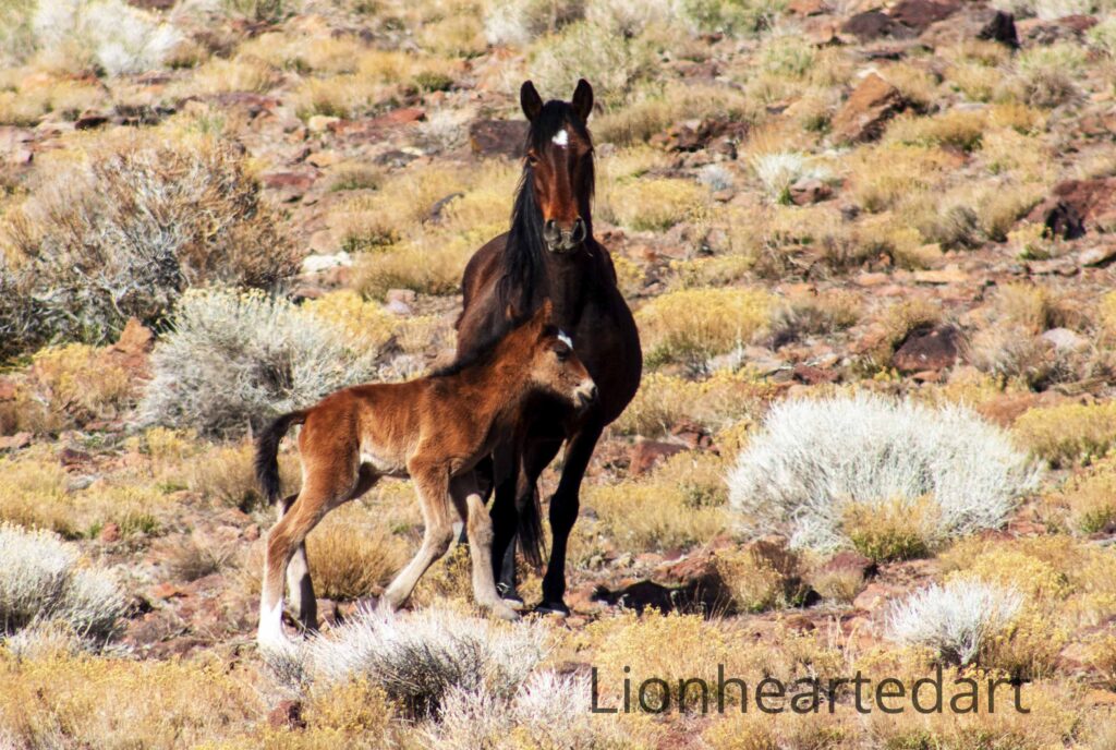 mother and child horses