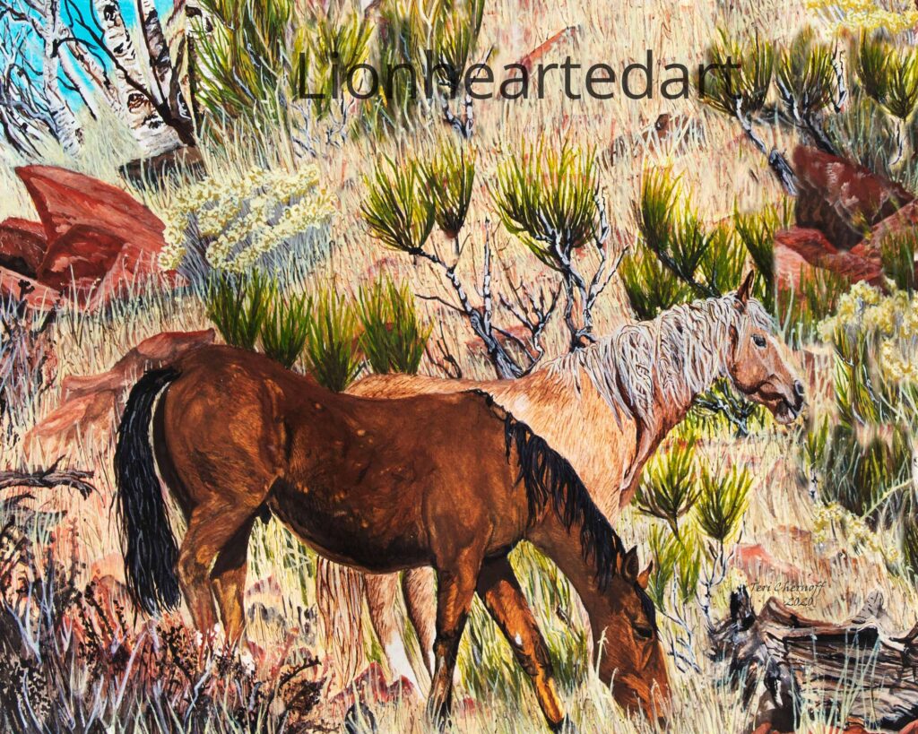 Lovley Couple Wild Horses