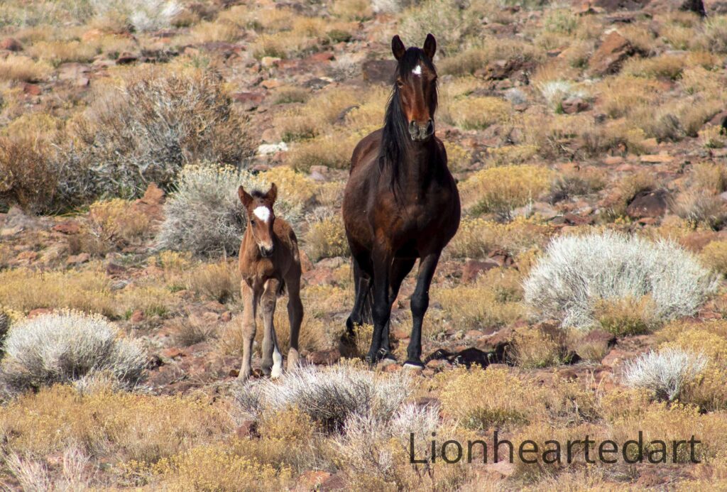 mother and child horses