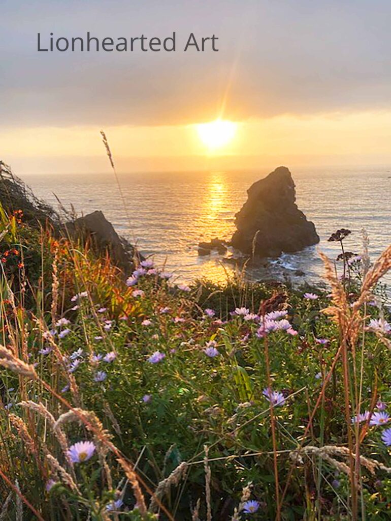 Otter Point
