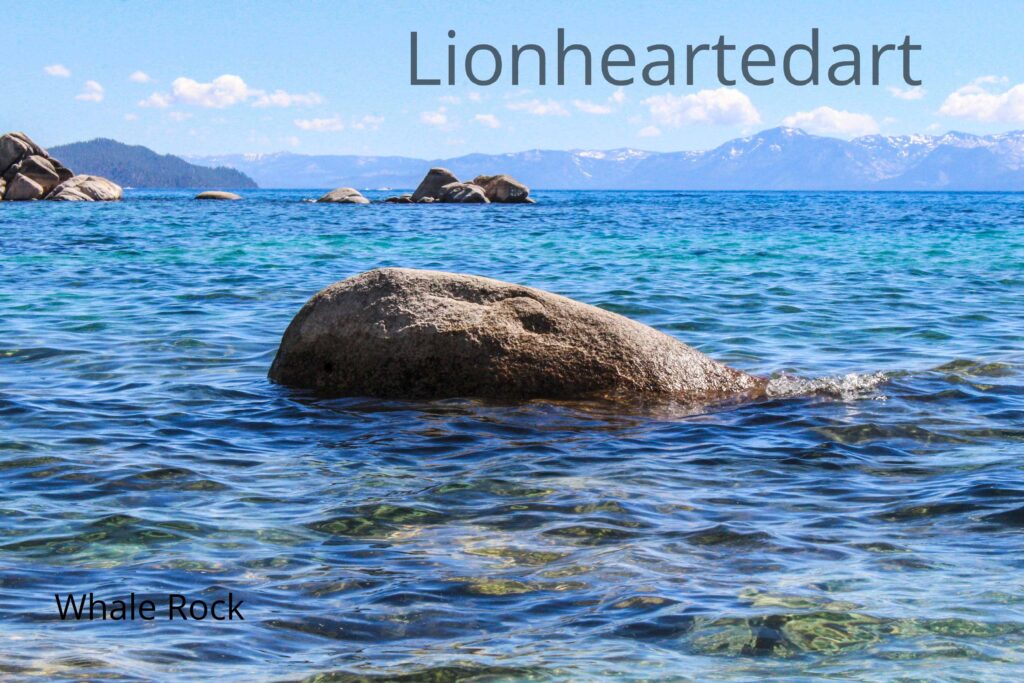 whale rock