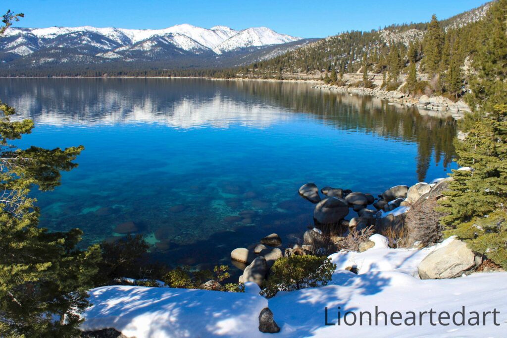winter wonder