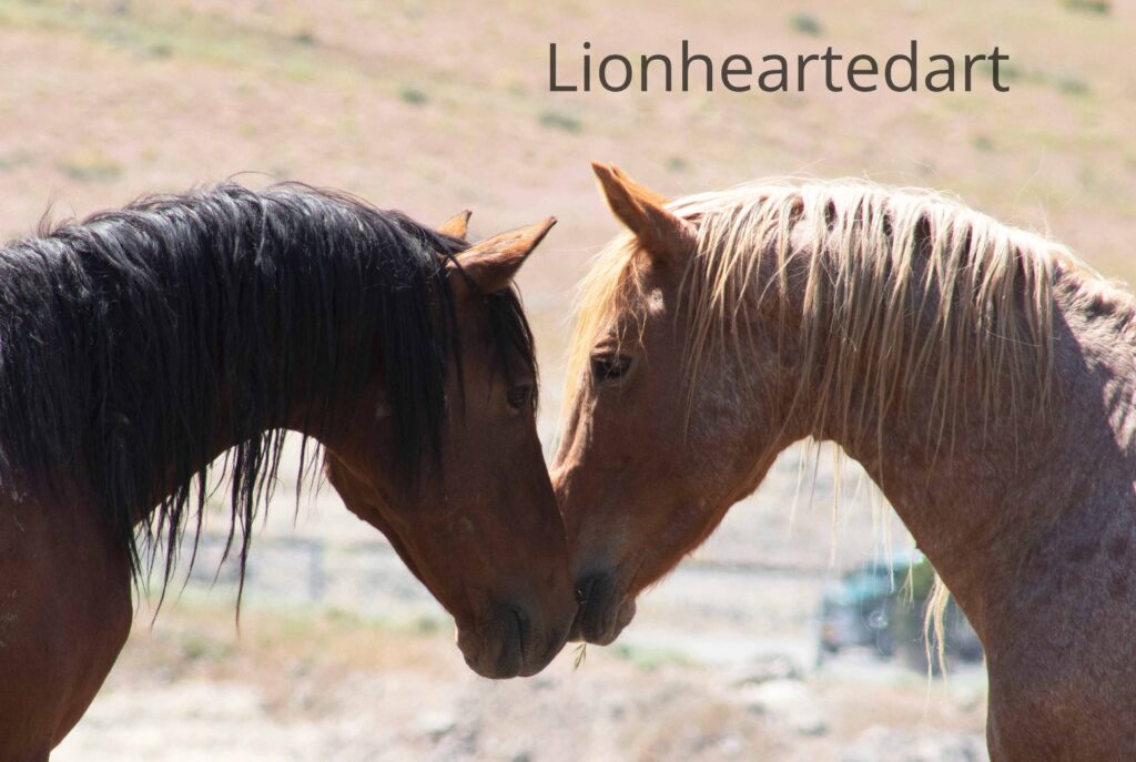 horses